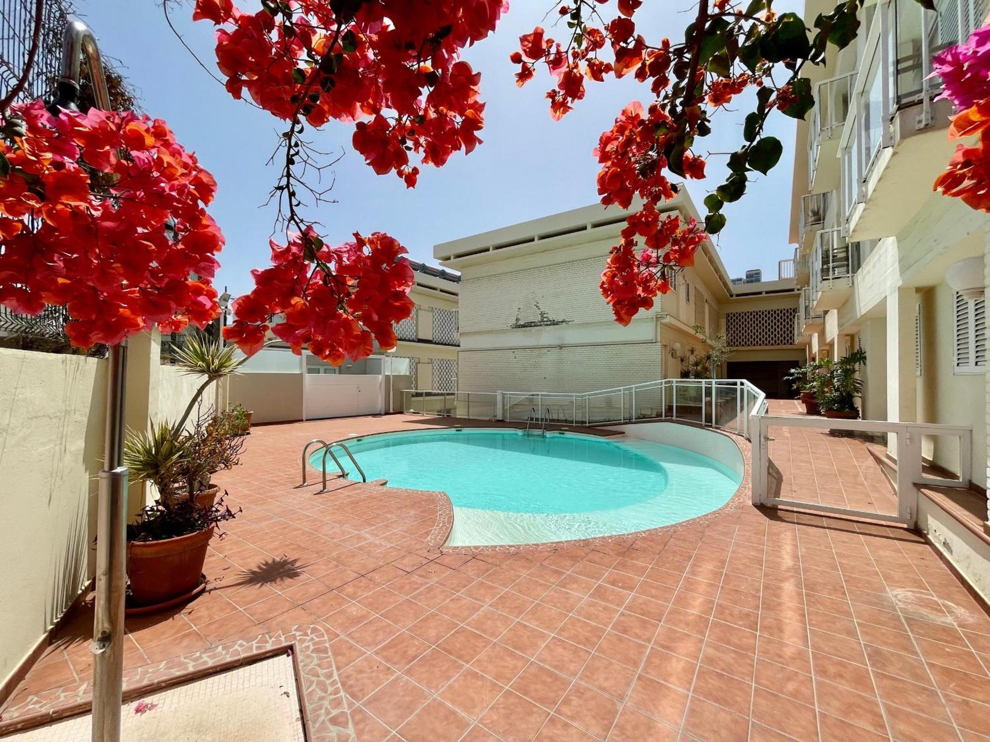 Deluxe Ciudad Jardin - By Gestion Vacacional Canarias 大加那利岛拉斯帕尔马斯 外观 照片